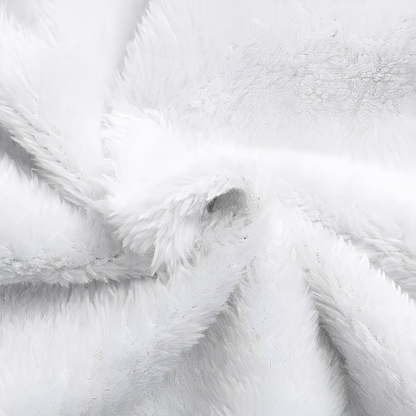 Veste imperméable femme style urbain doublée polaire pour hiver et pluie