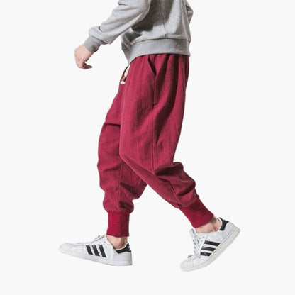 Pantalon harem décontracté homme style urbain pour loisirs et détente
