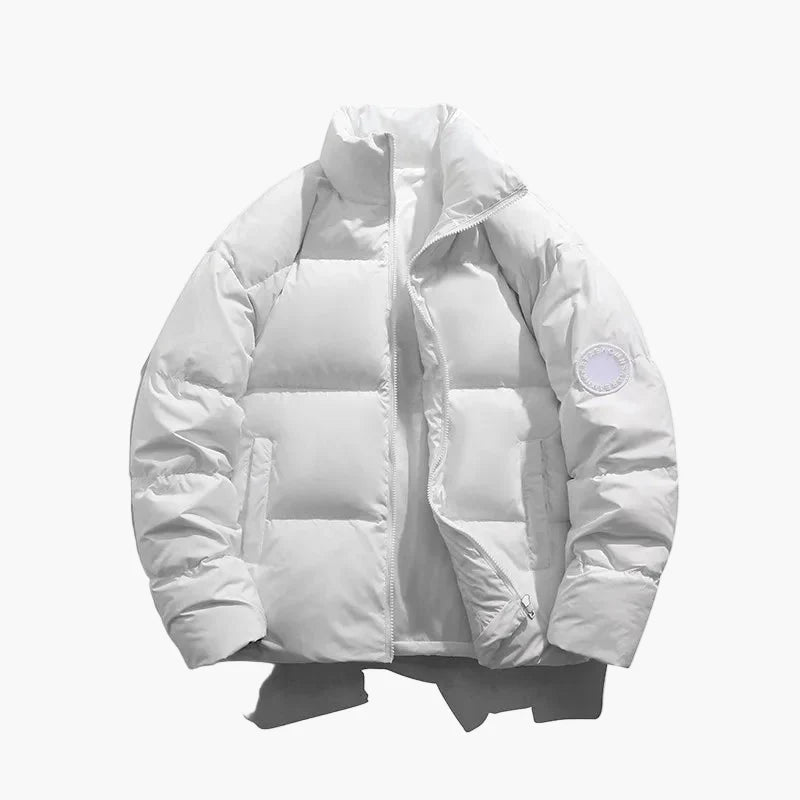 Doudoune Homme Style Décontracté Idéale pour l’Hiver et la Ville