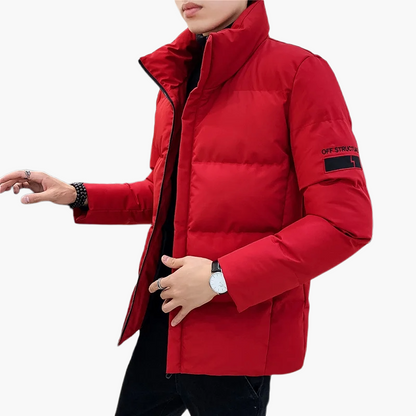 Doudoune Homme Tendance Manches Longues Style Urbain pour Hiver