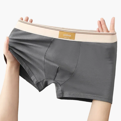 Men's daily comfort boxers modern style – Pack of 5 invisible and breathable undergarments