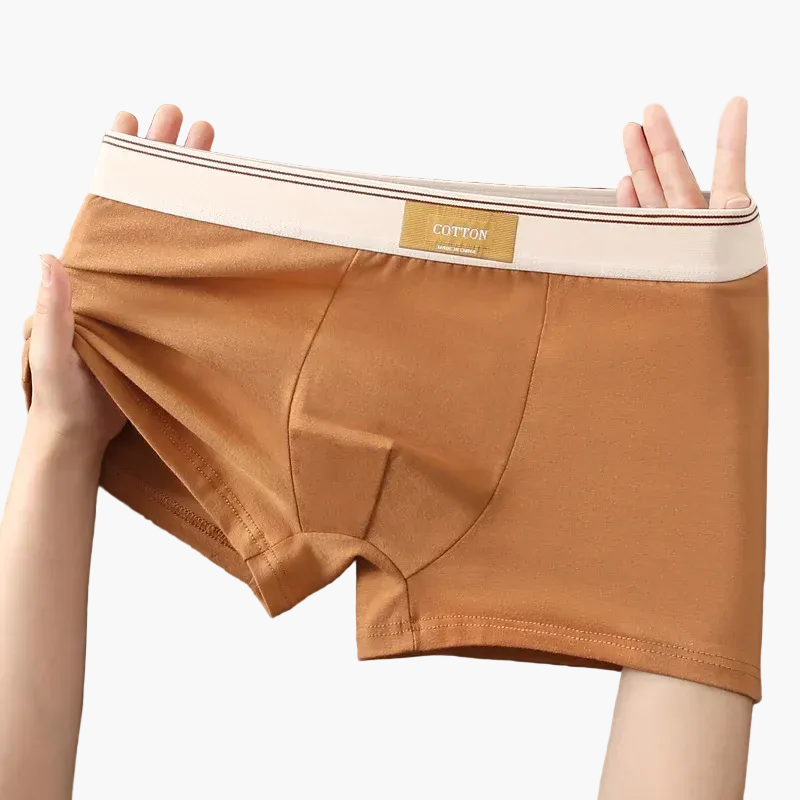 Men's daily comfort boxers modern style – Pack of 5 invisible and breathable undergarments