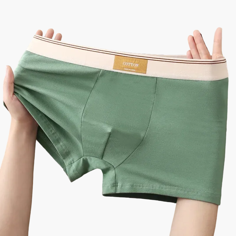 Men's daily comfort boxers modern style – Pack of 5 invisible and breathable undergarments