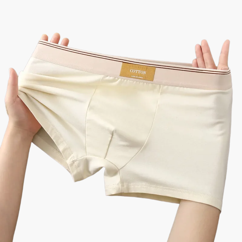 Men's daily comfort boxers modern style – Pack of 5 invisible and breathable undergarments