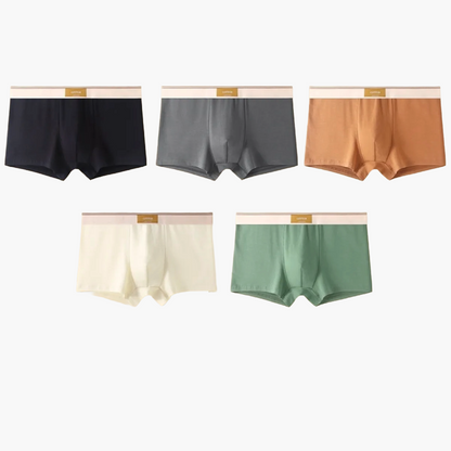 Men's daily comfort boxers modern style – Pack of 5 invisible and breathable undergarments